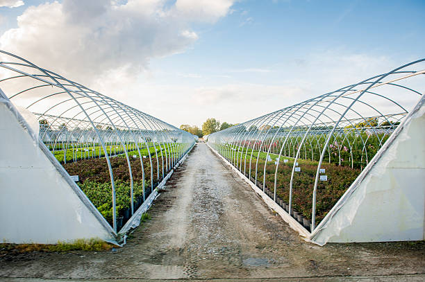 greenhouses for sale